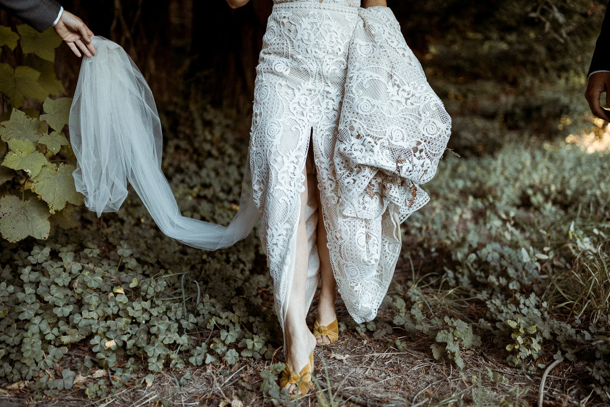 Wedding-Mendocino-Oz-Farm-Abi-Q-Photography-Oz-Farms-100-2.jpg