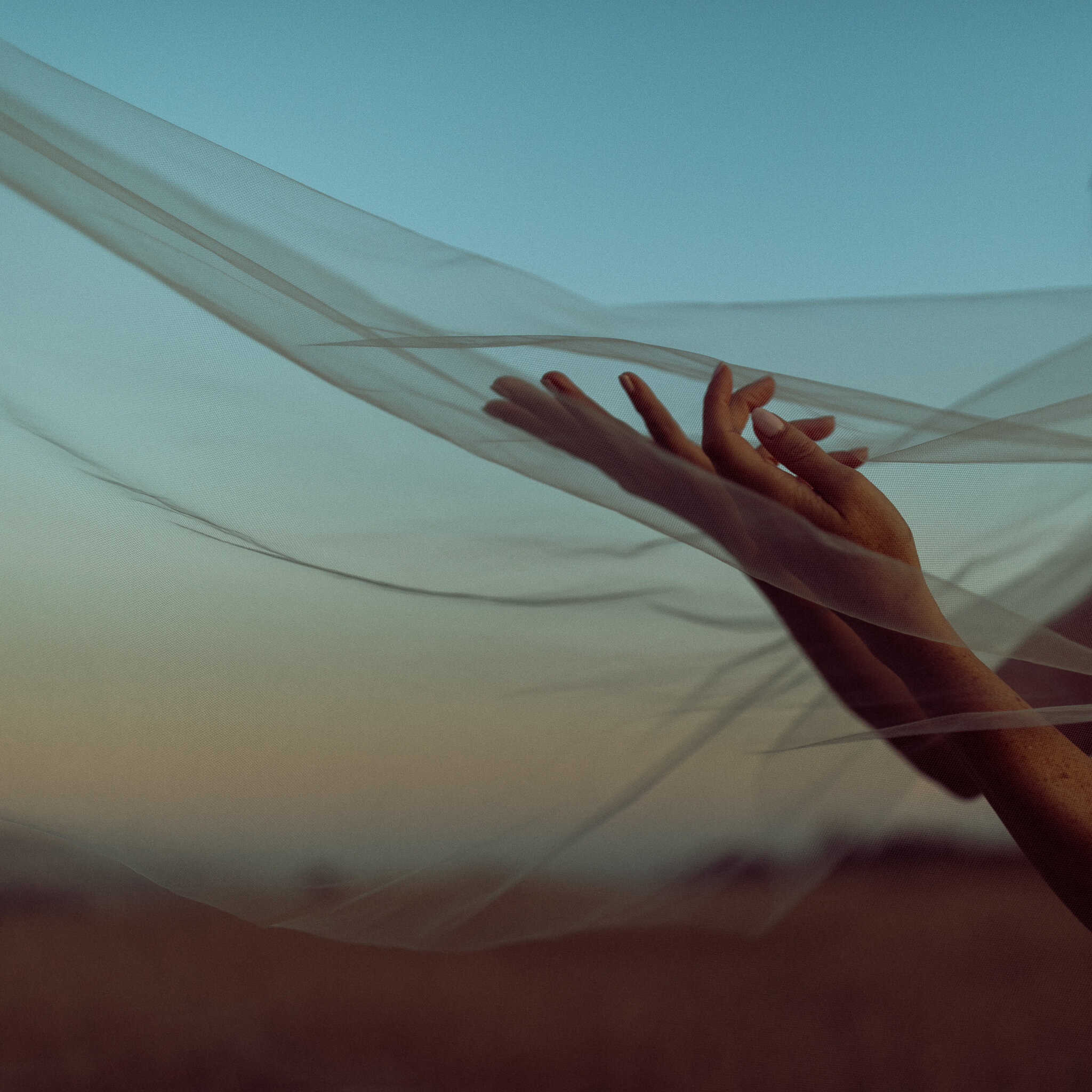 Veil-Abi-Q-Photography-Elk-CA-100.jpg
