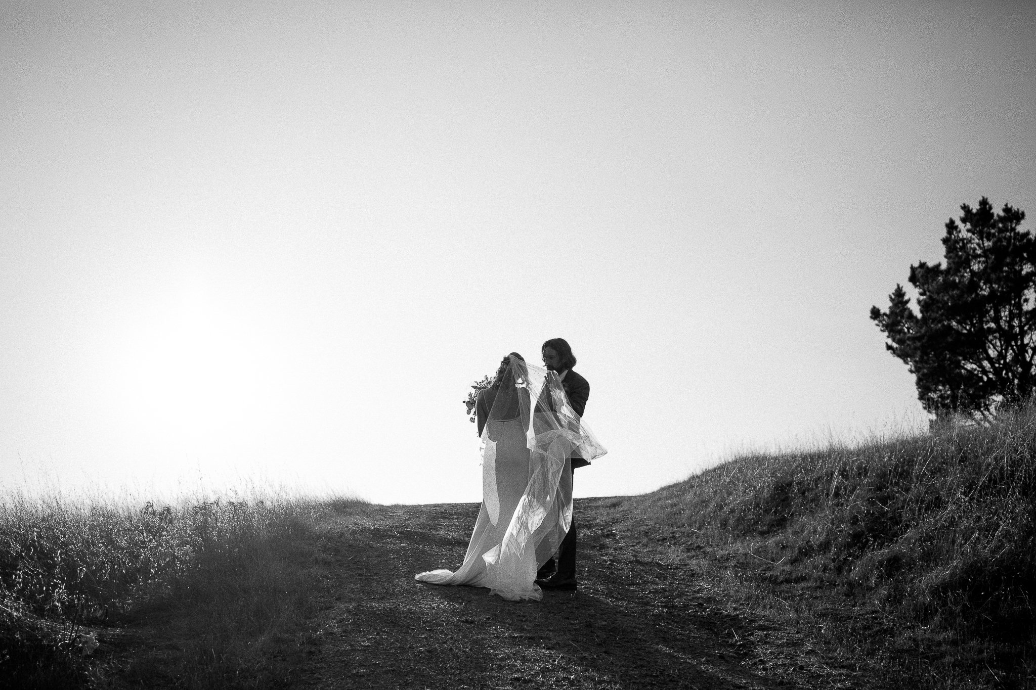 tomales-bay-wedding-abi-q-photography--150.jpg