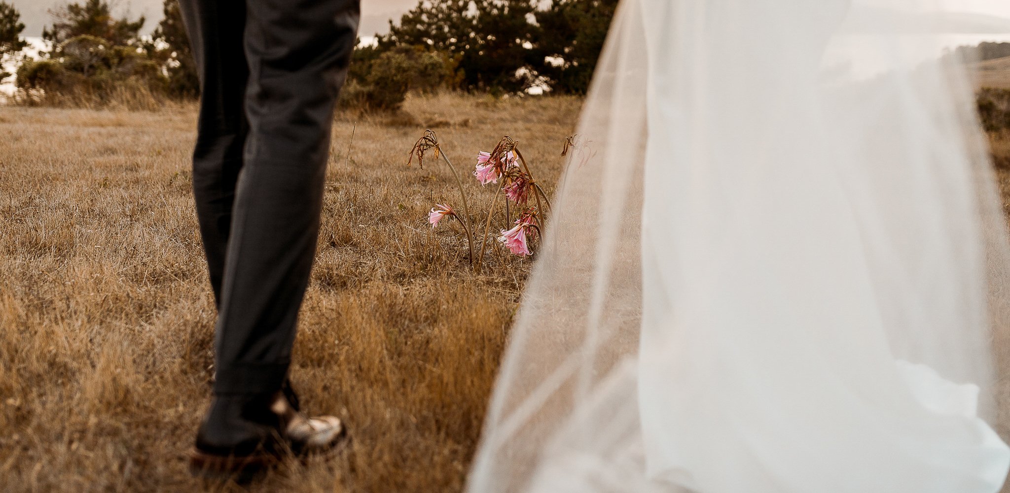 tomales-bay-wedding-abi-q-photography--237.jpg