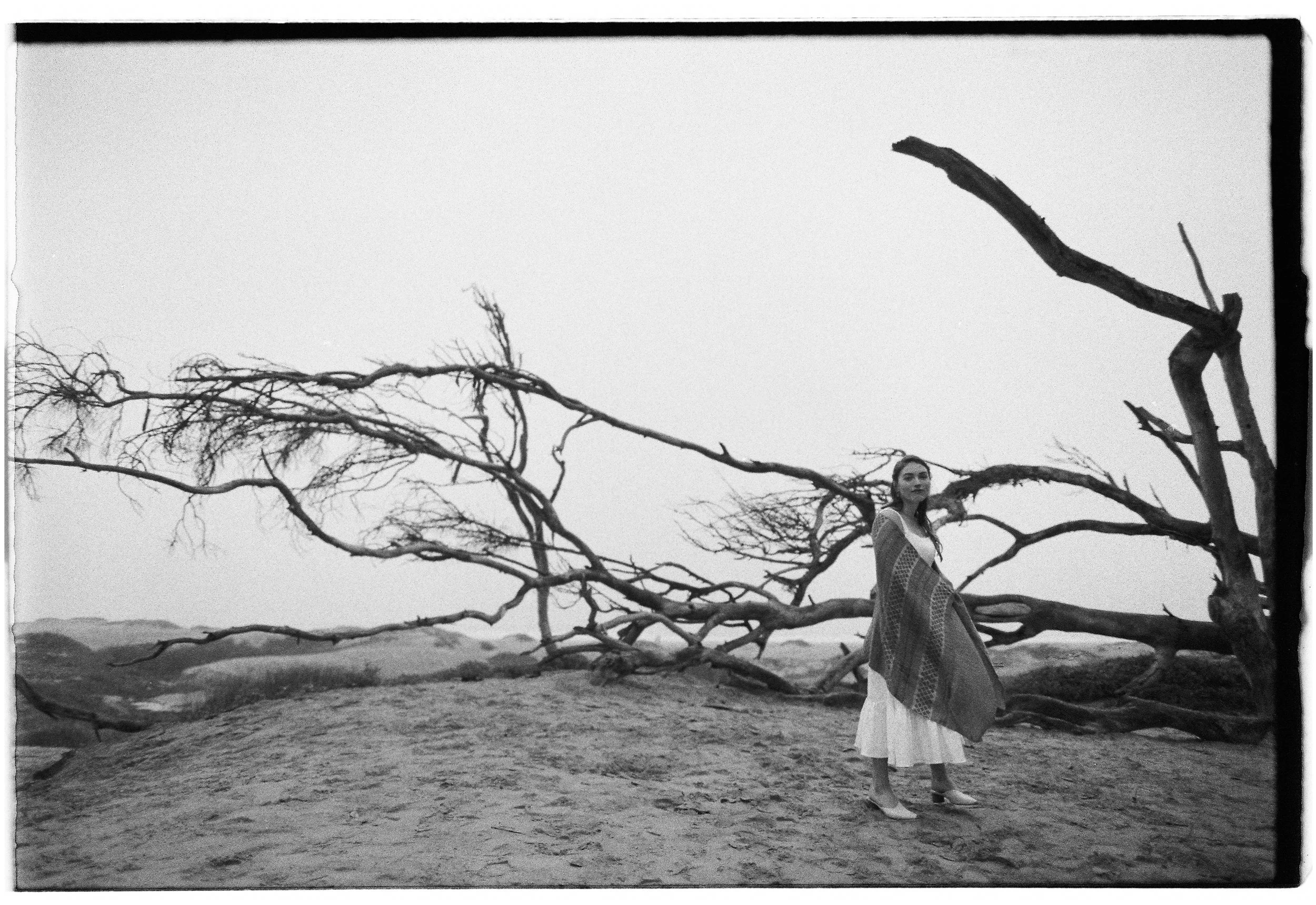 Film-117.jpg