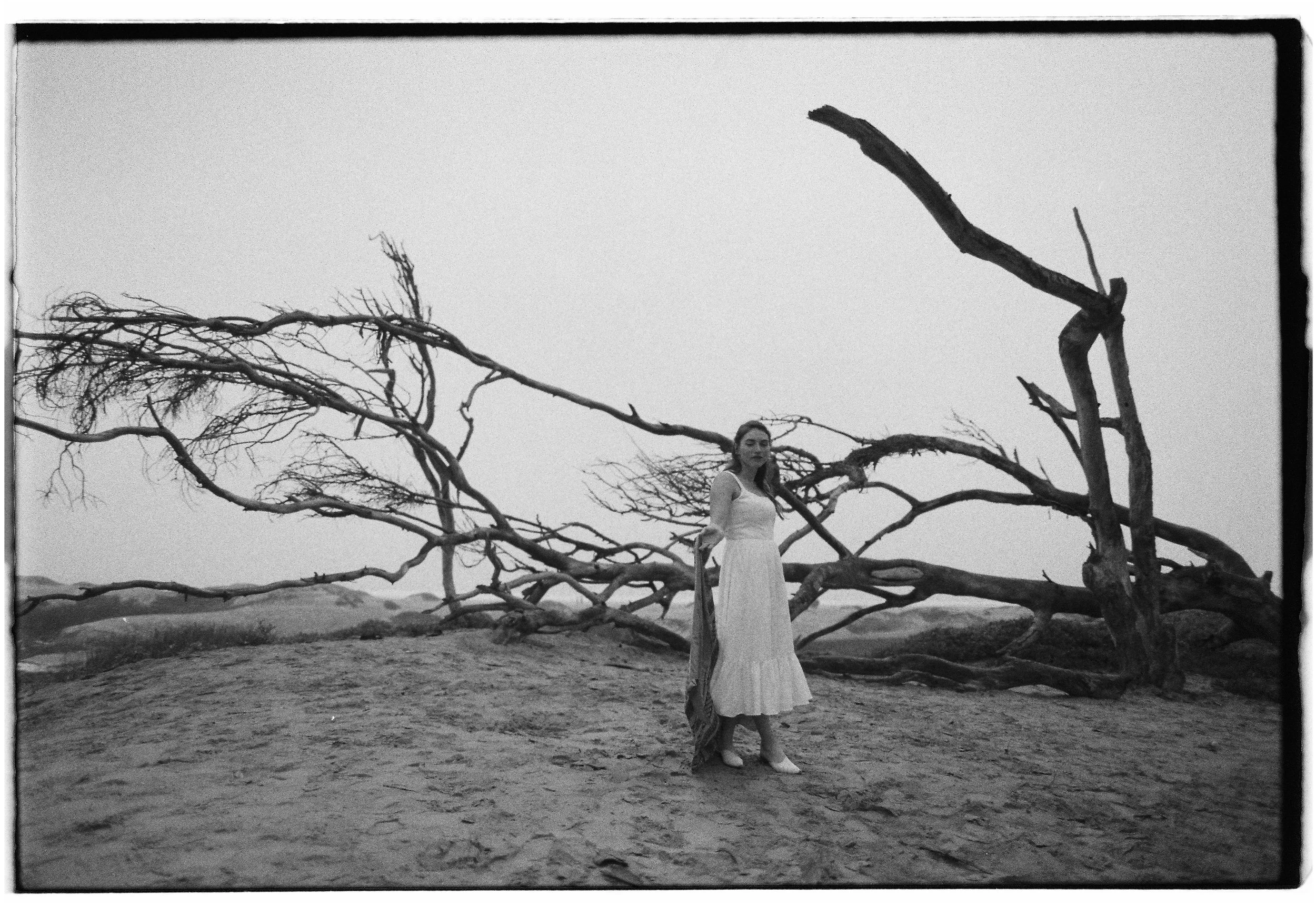 Film-116.jpg
