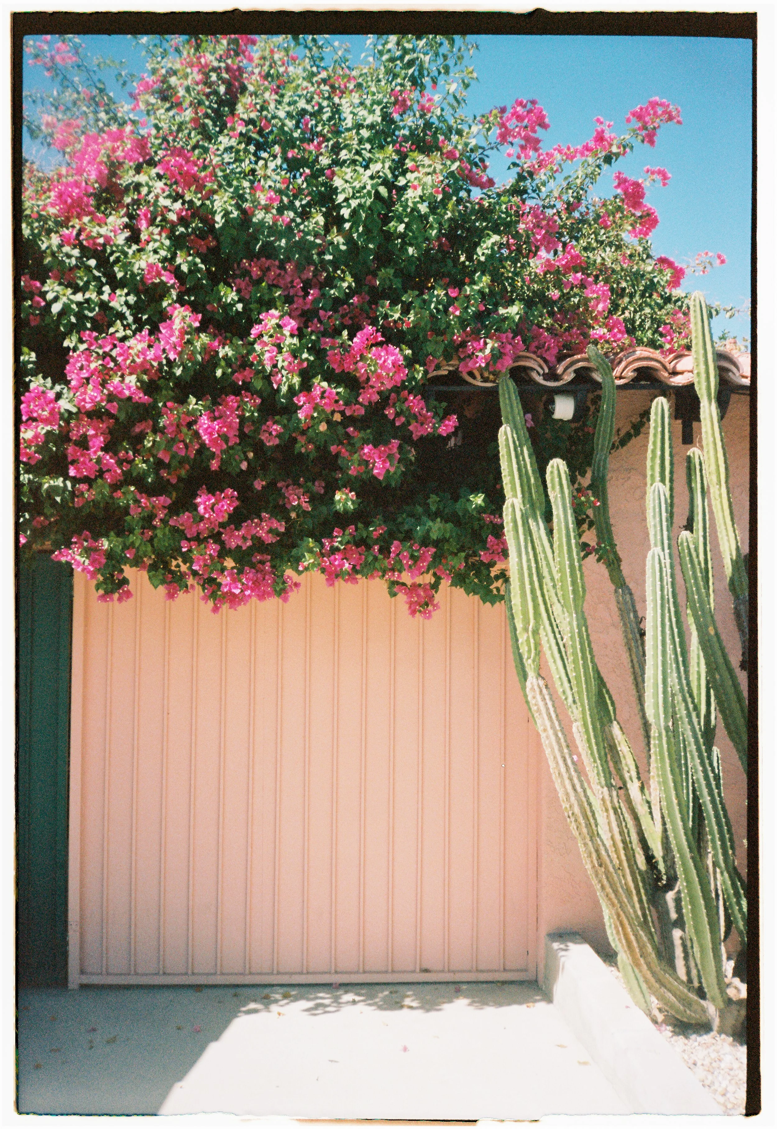 Film-100.jpg