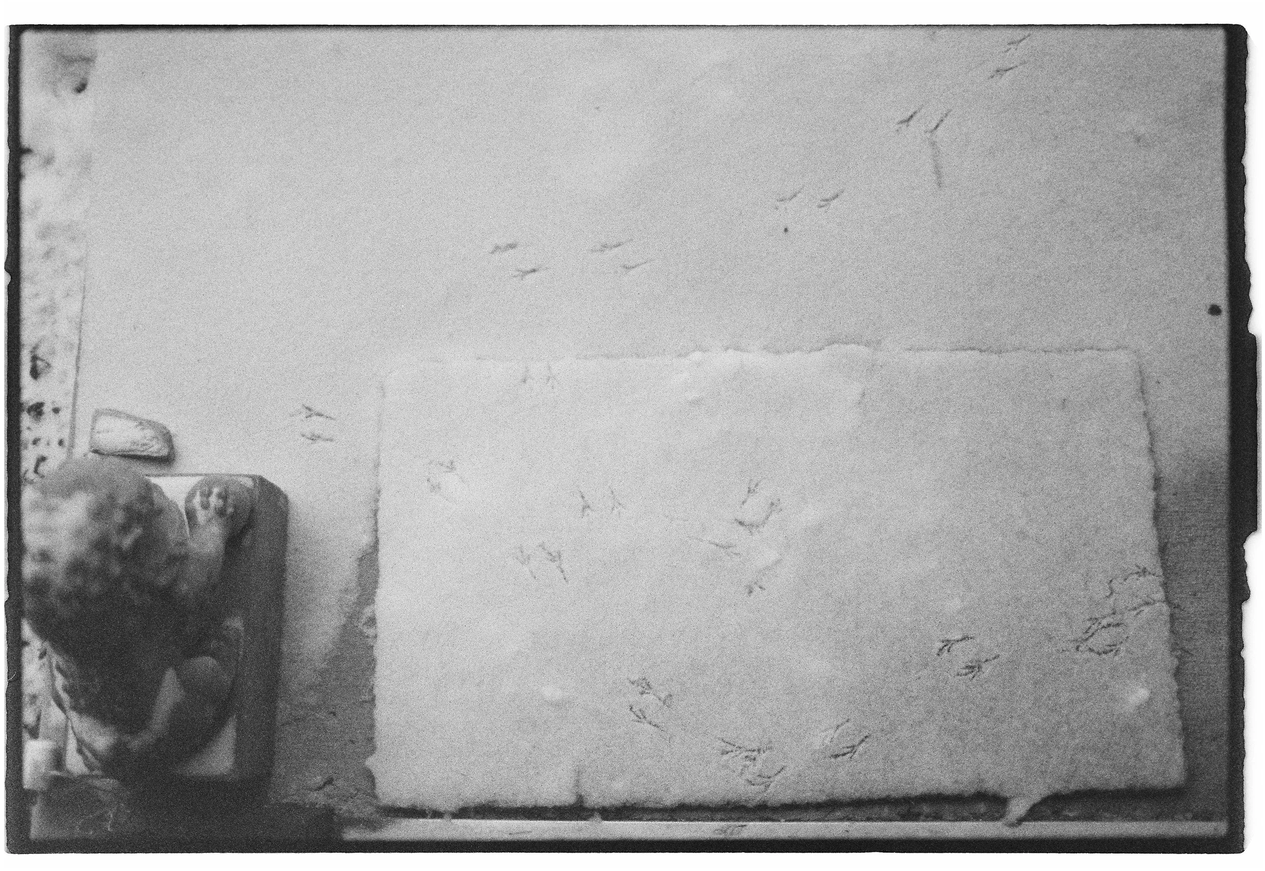 AQ_4581_Tri-X 400_022348-R1-E021.jpg