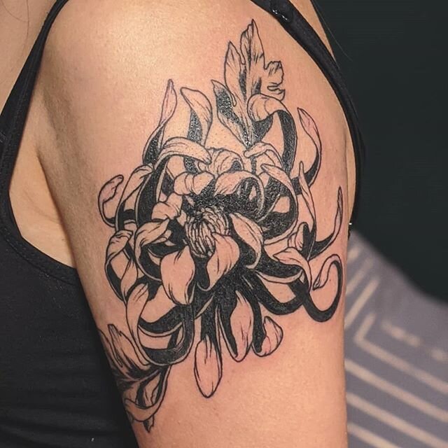 Chrysanthemum I got to tattoo on @heeyyitsviv. Thanks Vivian!

#illustration #tattoo #illustrationtattoo #blacktattoos #blackwork #chrysanthemum #chrysanthemumtattoo #flowersofinstagram #flowerillustration #flowertattoo #nctattooers #nctattooartist #