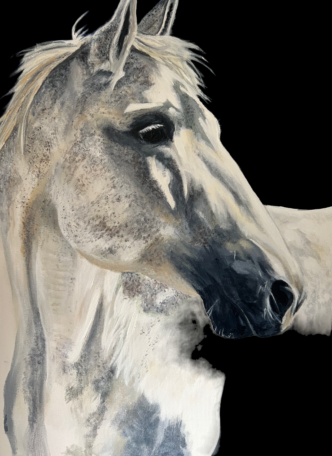   Serendipity,  2022  Acrylic on canvas  16 × 24 in  Commissioned work - Private collection 