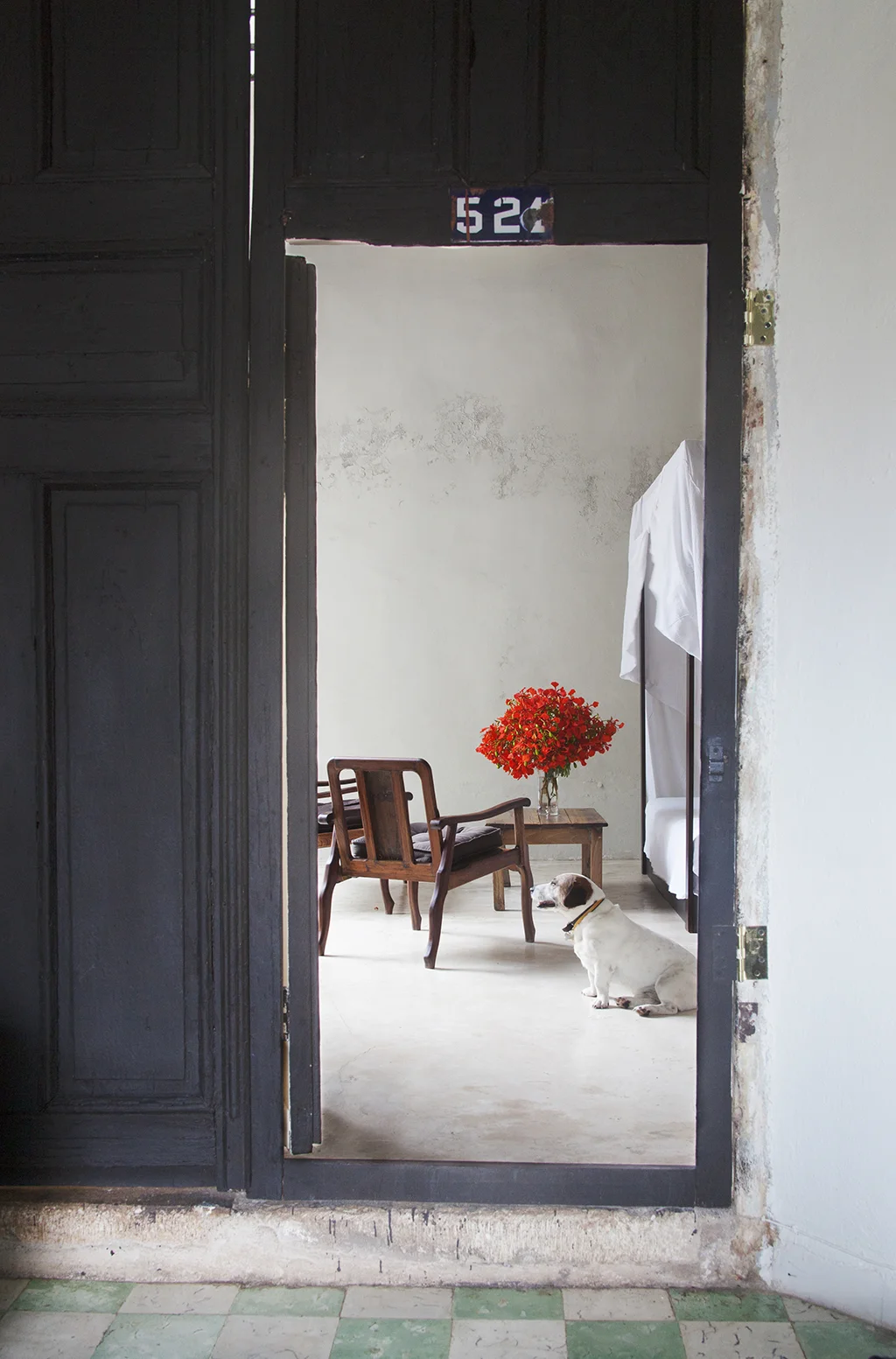 photograph by Genevieve Garruppo