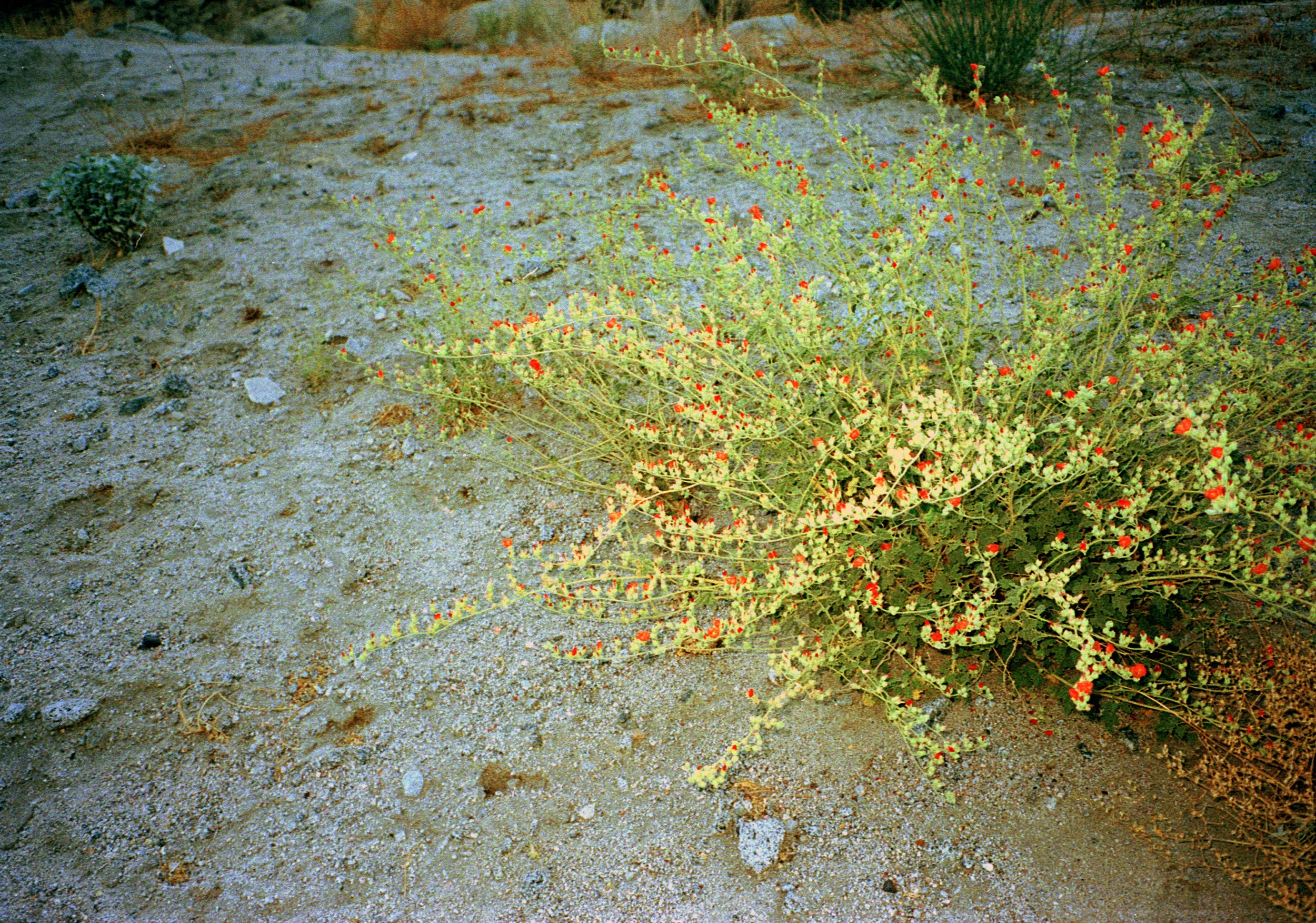 04.jpg