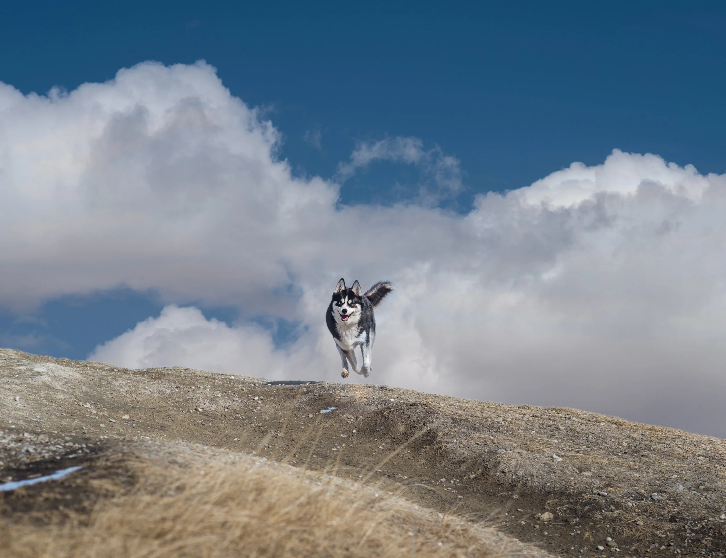 SLS_6352-Edit.jpg
