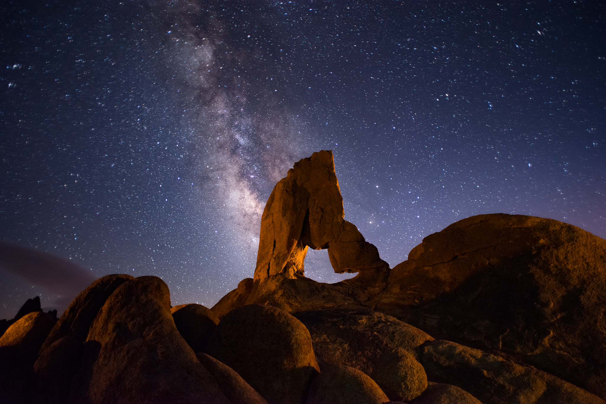 Lady Boot Arch Milkyway, 2016