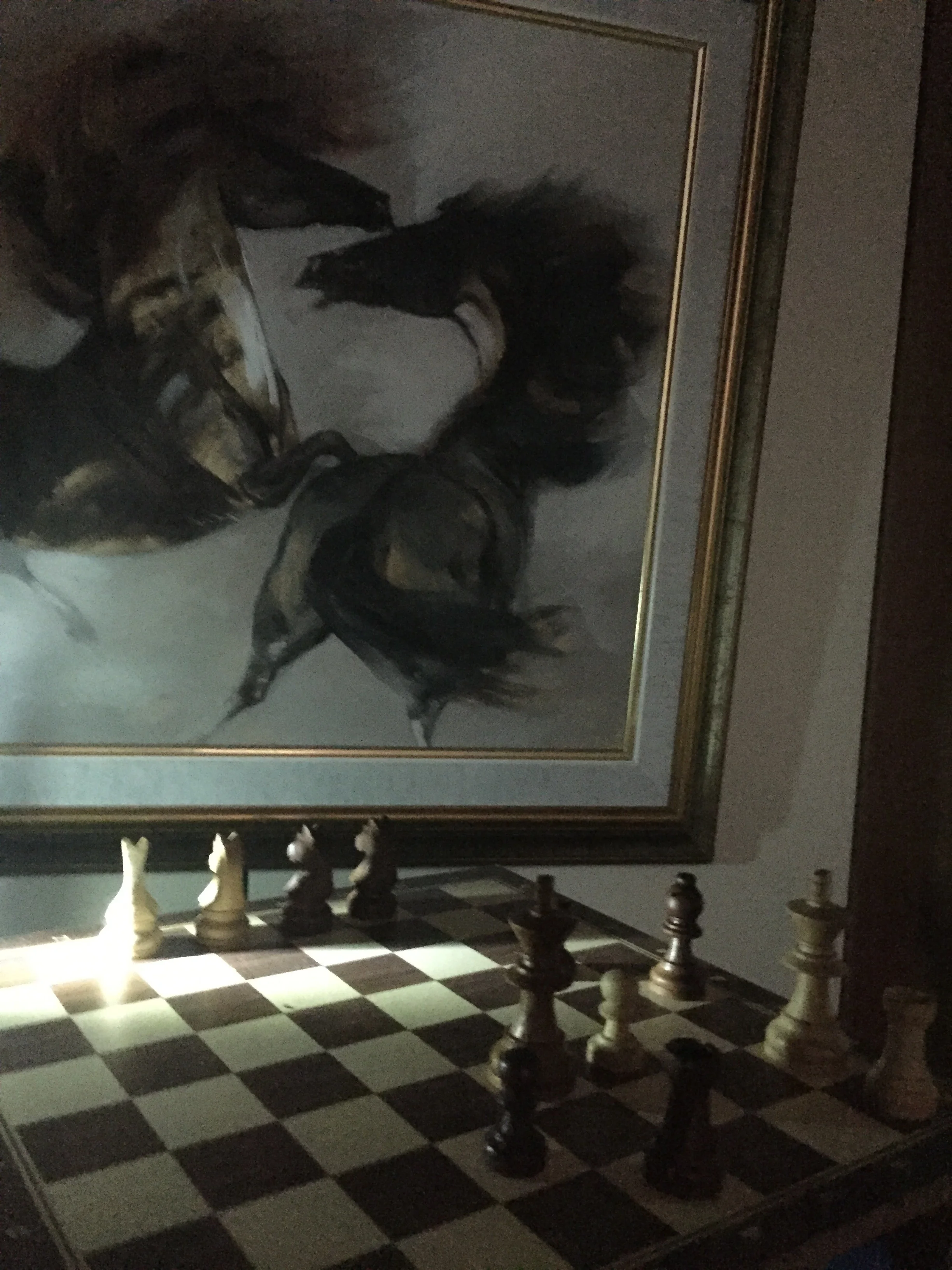 Peroneus Longus'un Dostluğu...