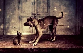 Bilginin Gücü ... Dum spiro, spero...