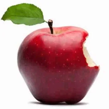 Bir Principia ısırığı...