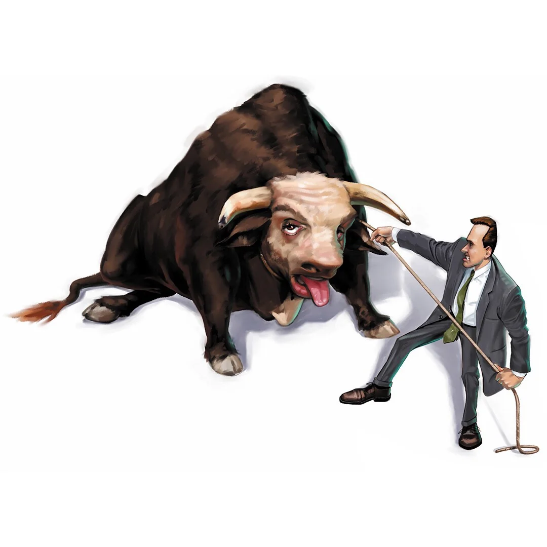 Boğayı Kıpırdatmak...