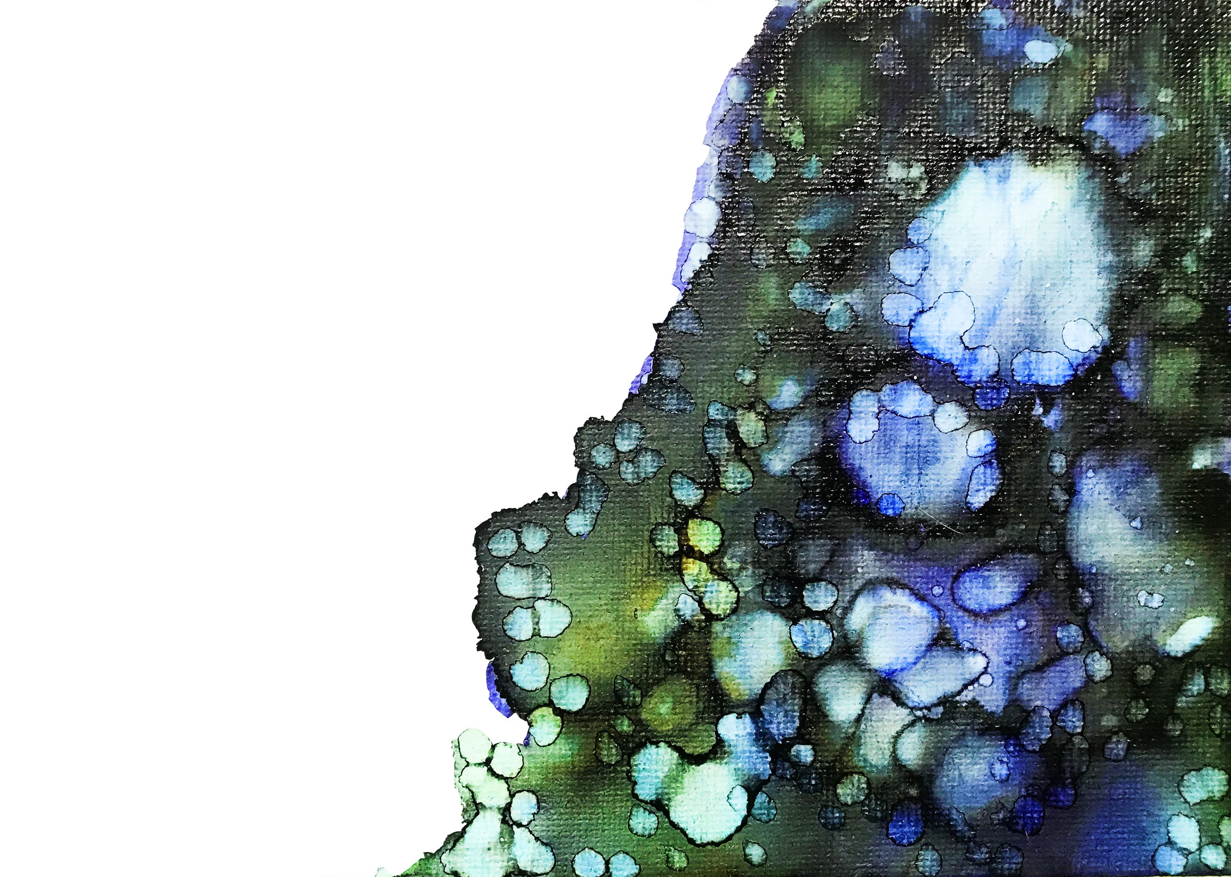 blue6.jpg
