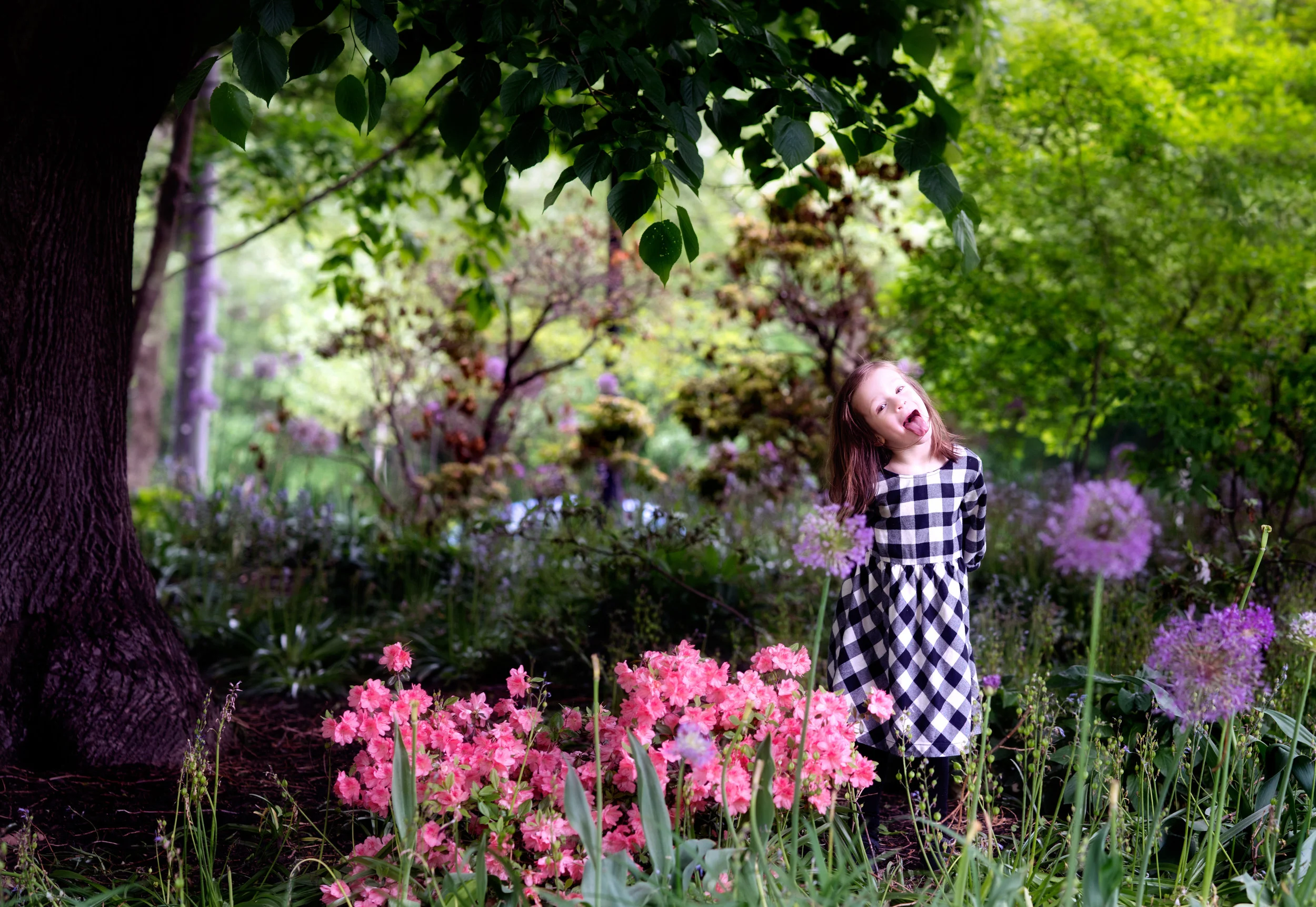for web cropped-.jpg