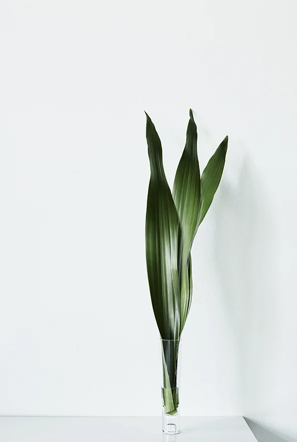 PHOTOGRAPHER: Mads Bjerre Madsen, 2015