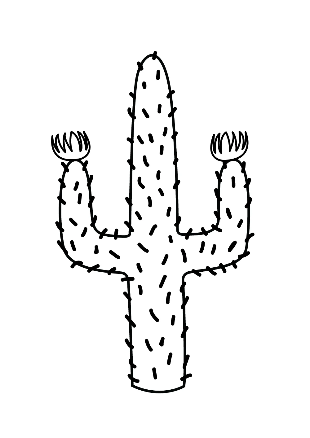 Cactus-White-MOCK.jpg