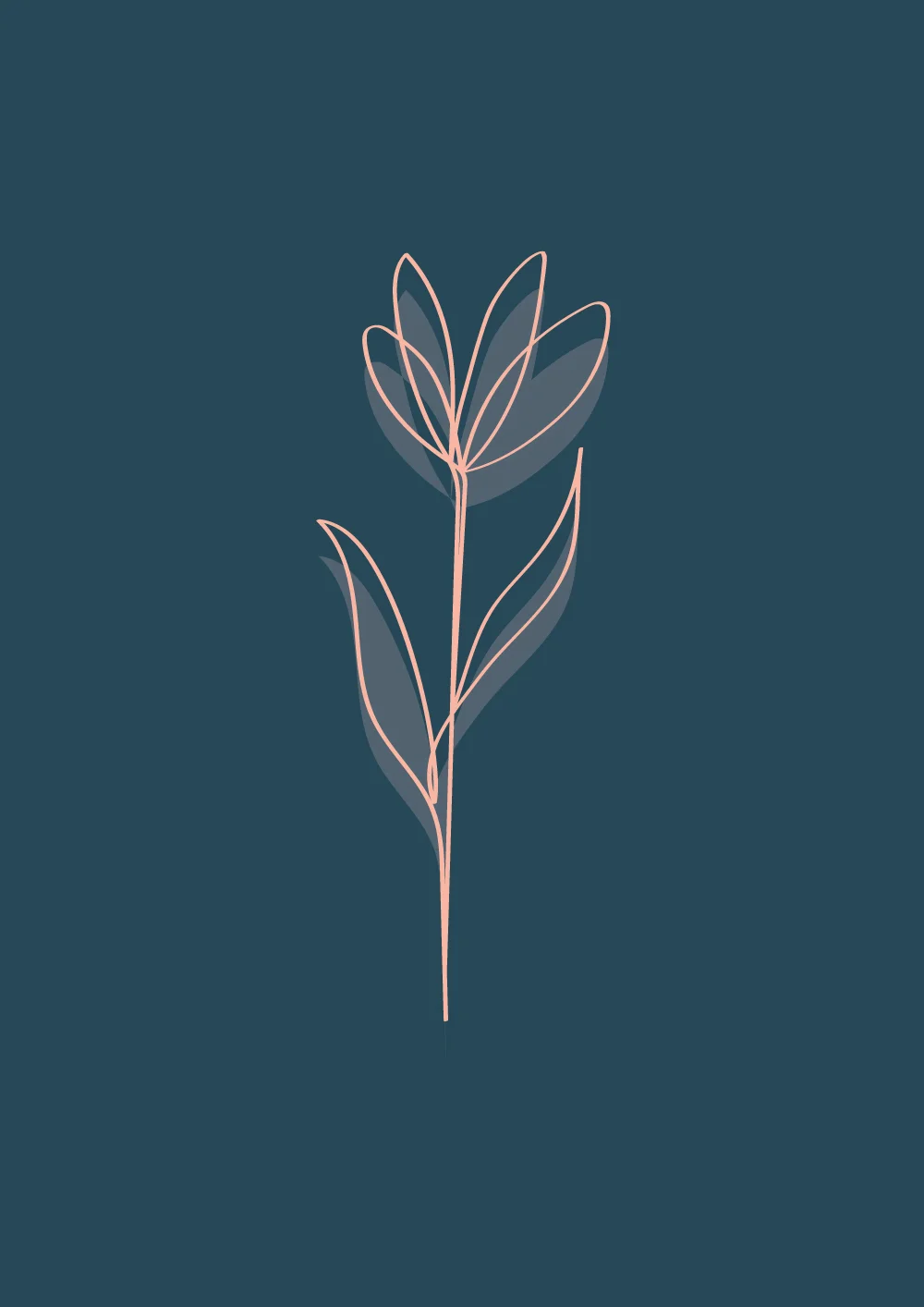 Bloom-MOCK.jpg