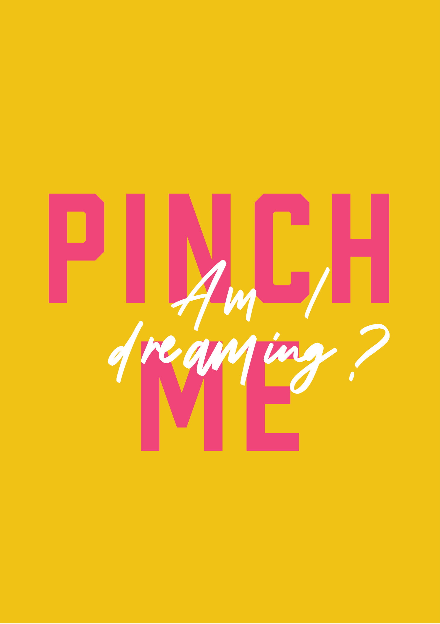 PinchMe-A4-MOCK.jpg