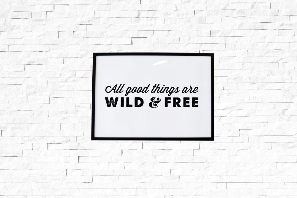 Wild-1-White.jpg