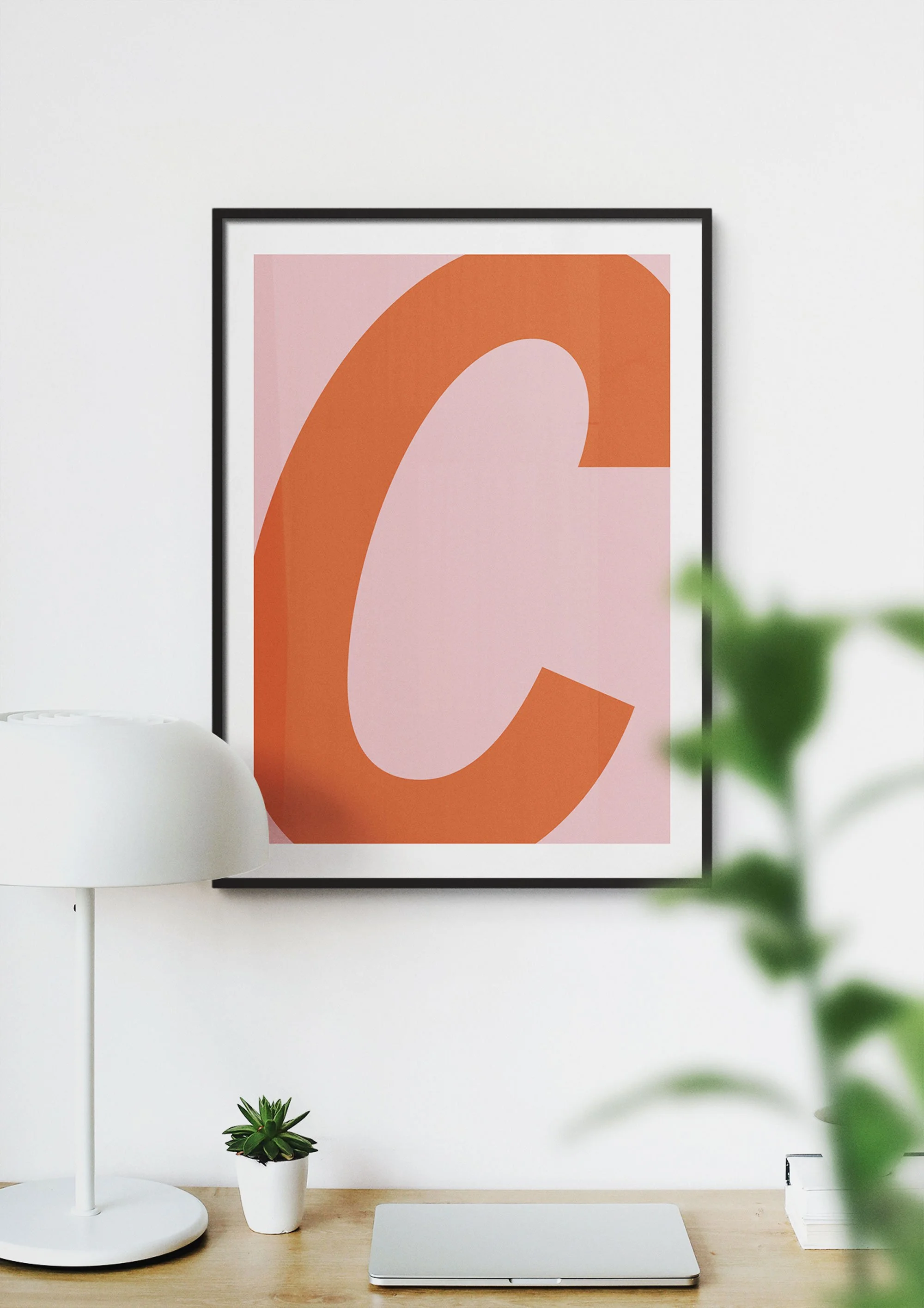 Pink-Red-C-2-MOCKUP.jpg