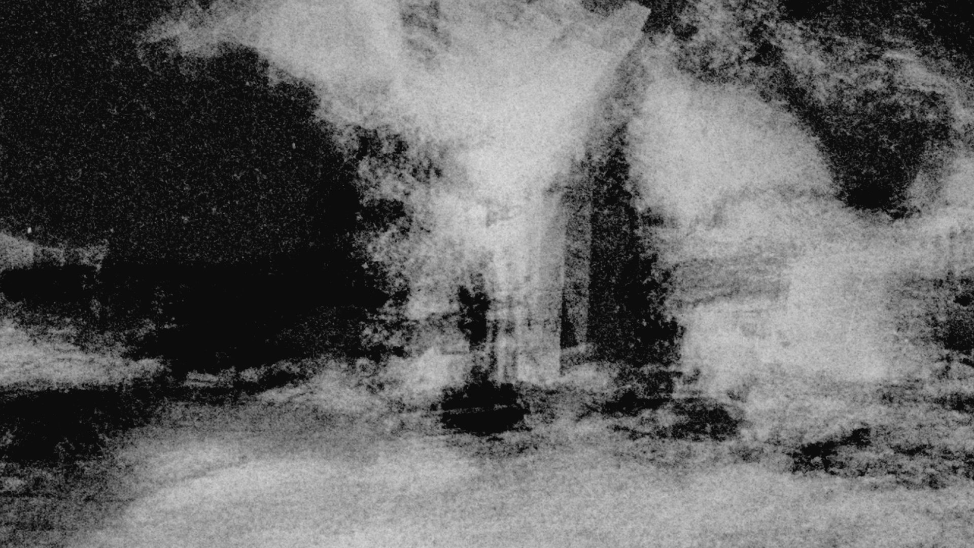 DOMF_STILL_01.jpg