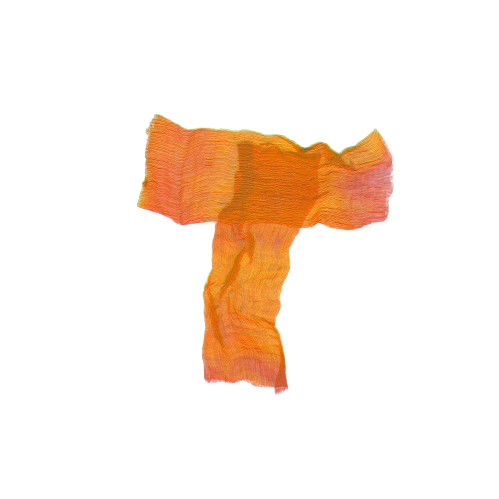 Logo Transitions_transparant.png