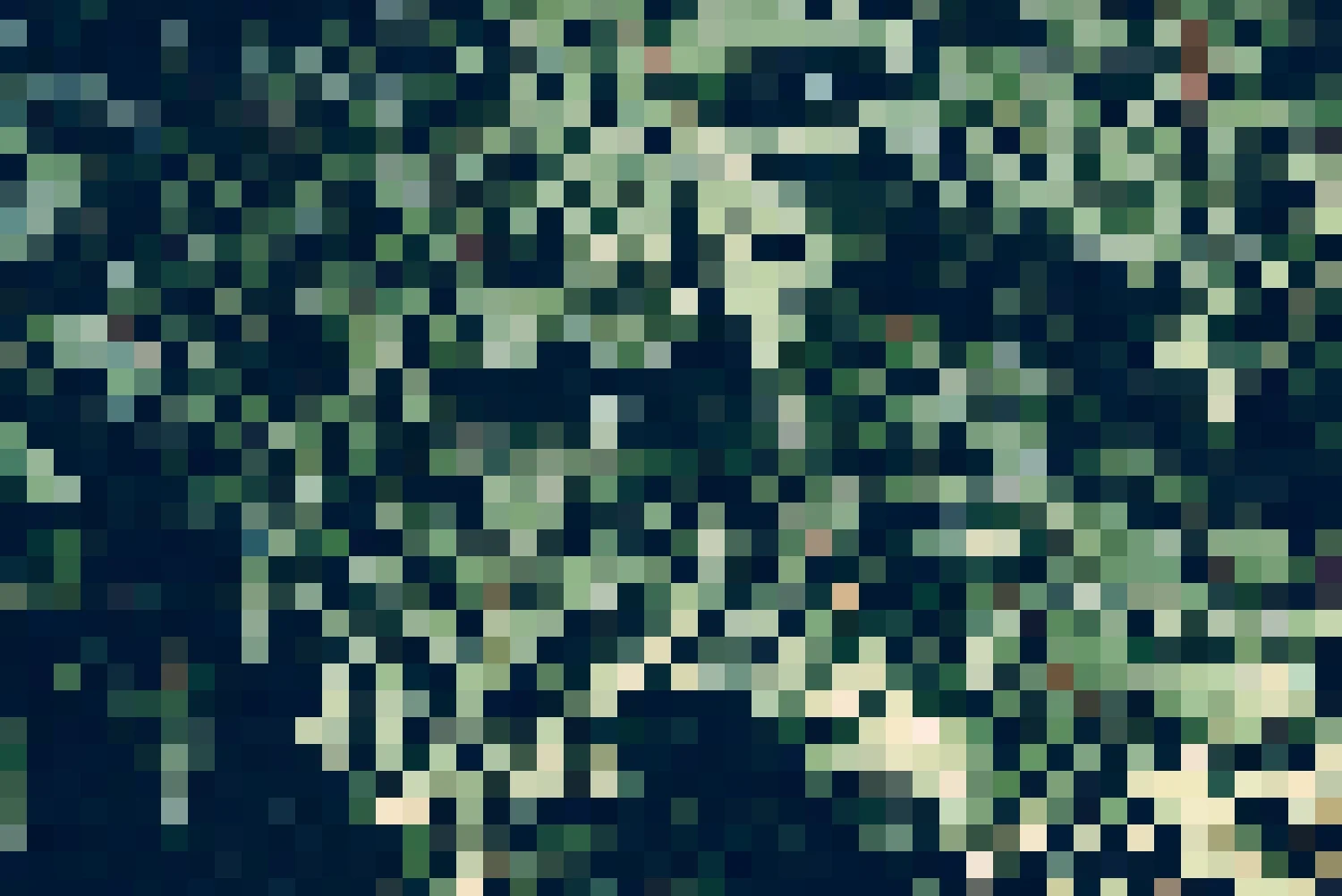 Fern.jpg
