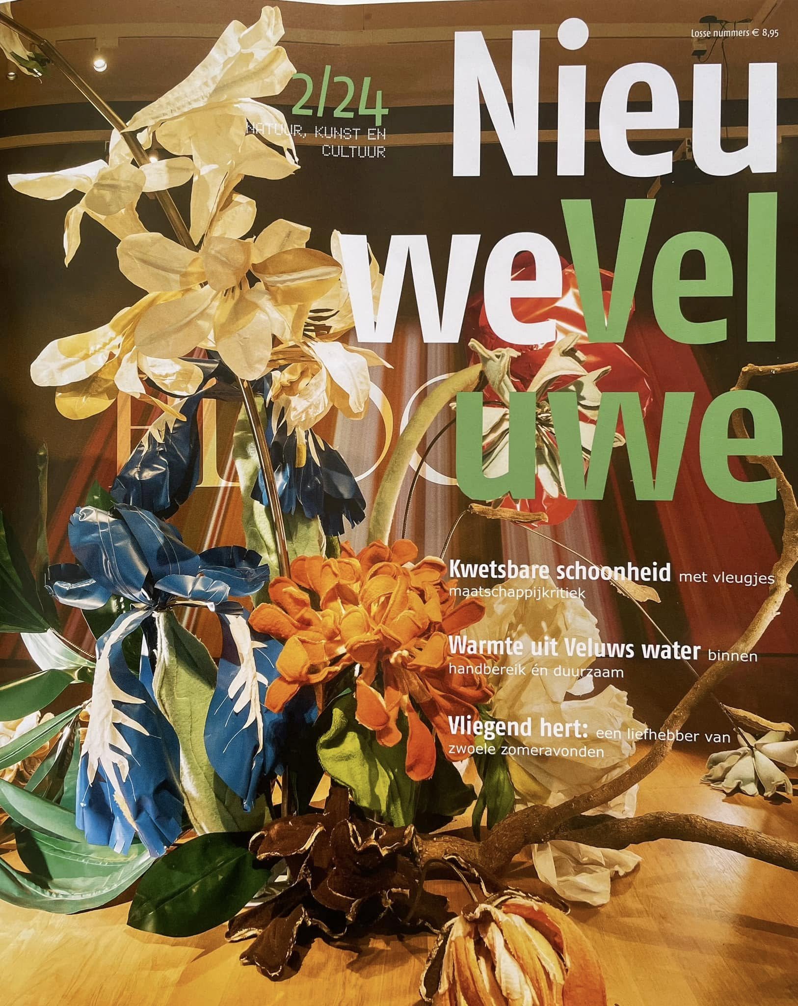Nieuwe Veluwe cover.jpeg