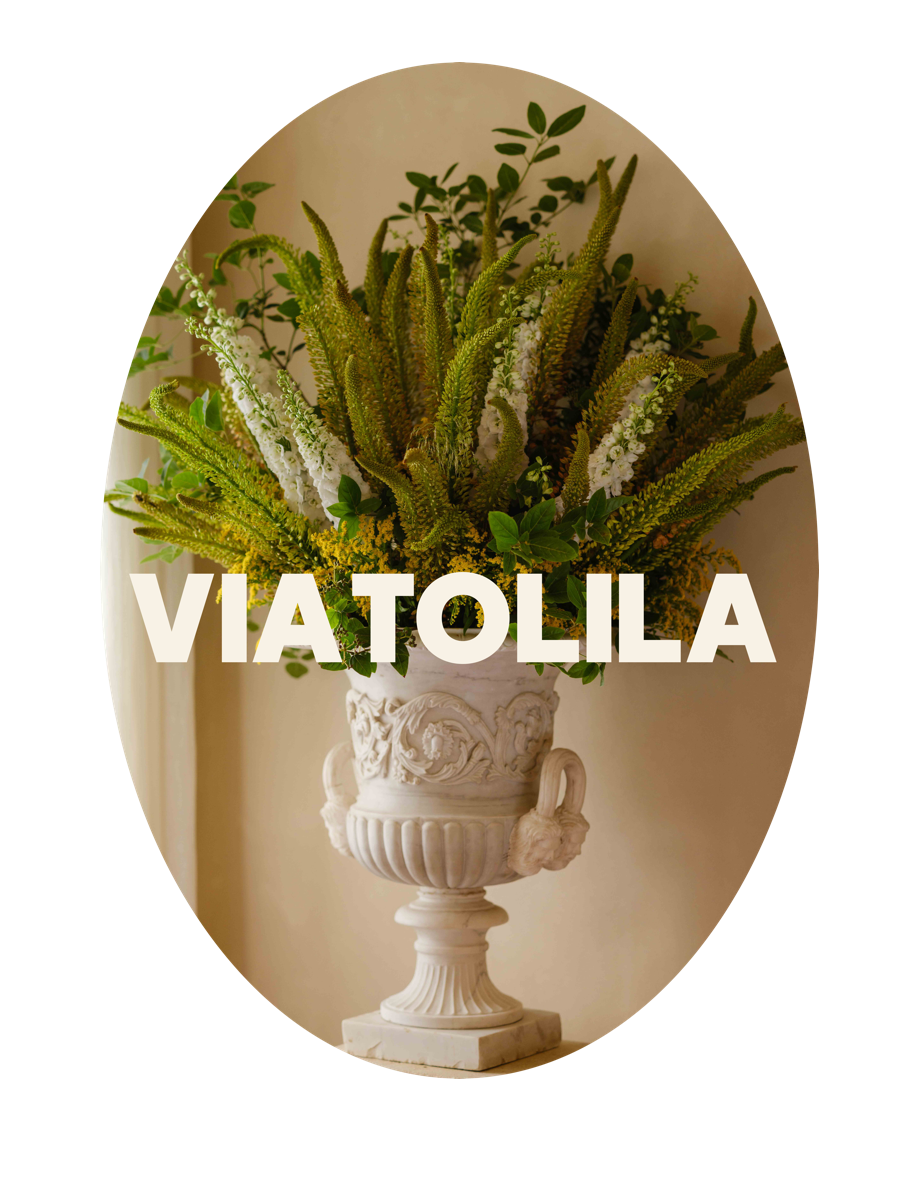 VIA TOLILA