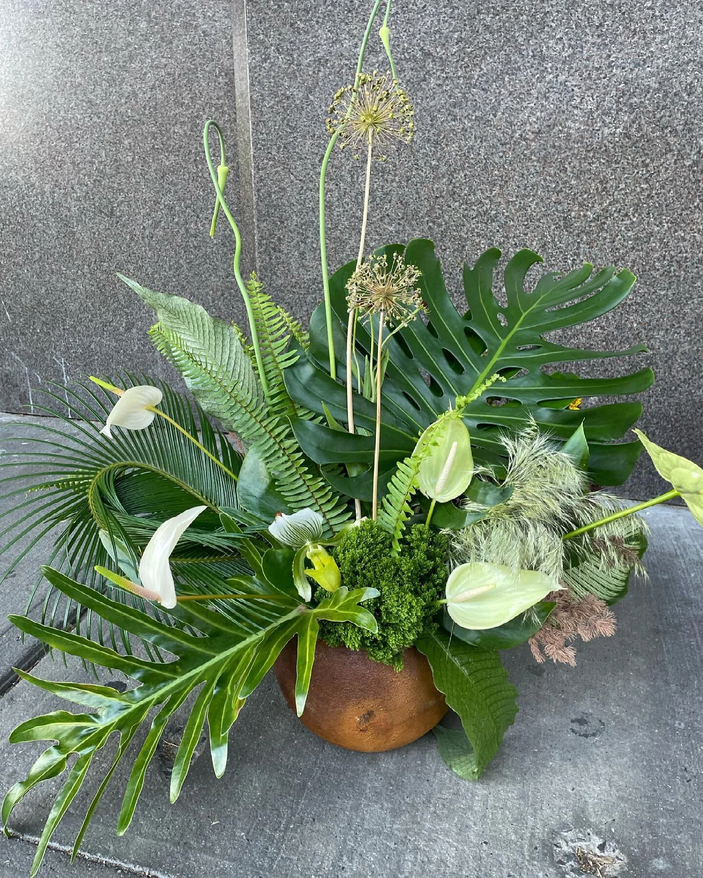 Jumanji in Dumbo #floriconventoflowers