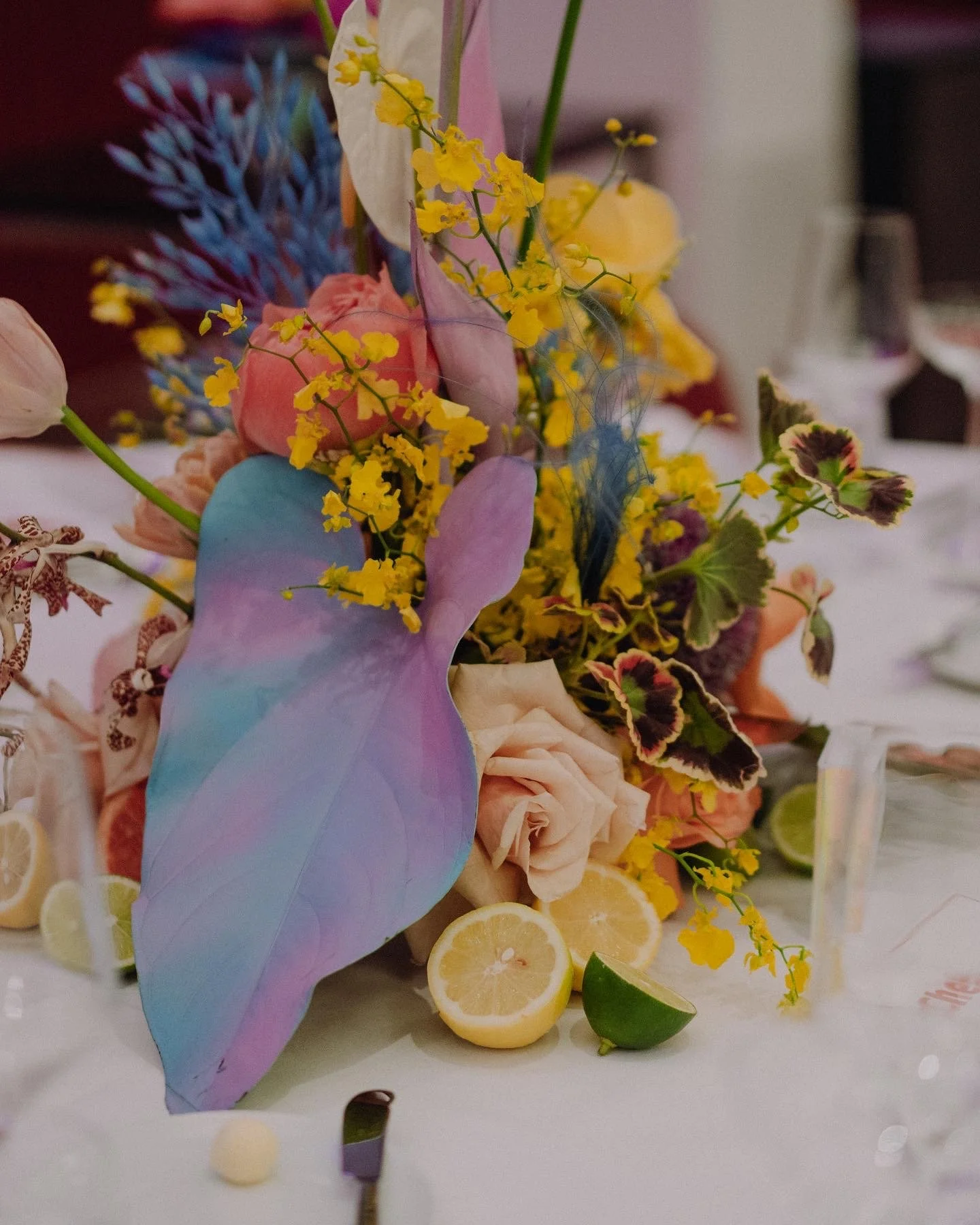 B428F0FE-C500-4ECA-B21A-4032F82FB289.jpg