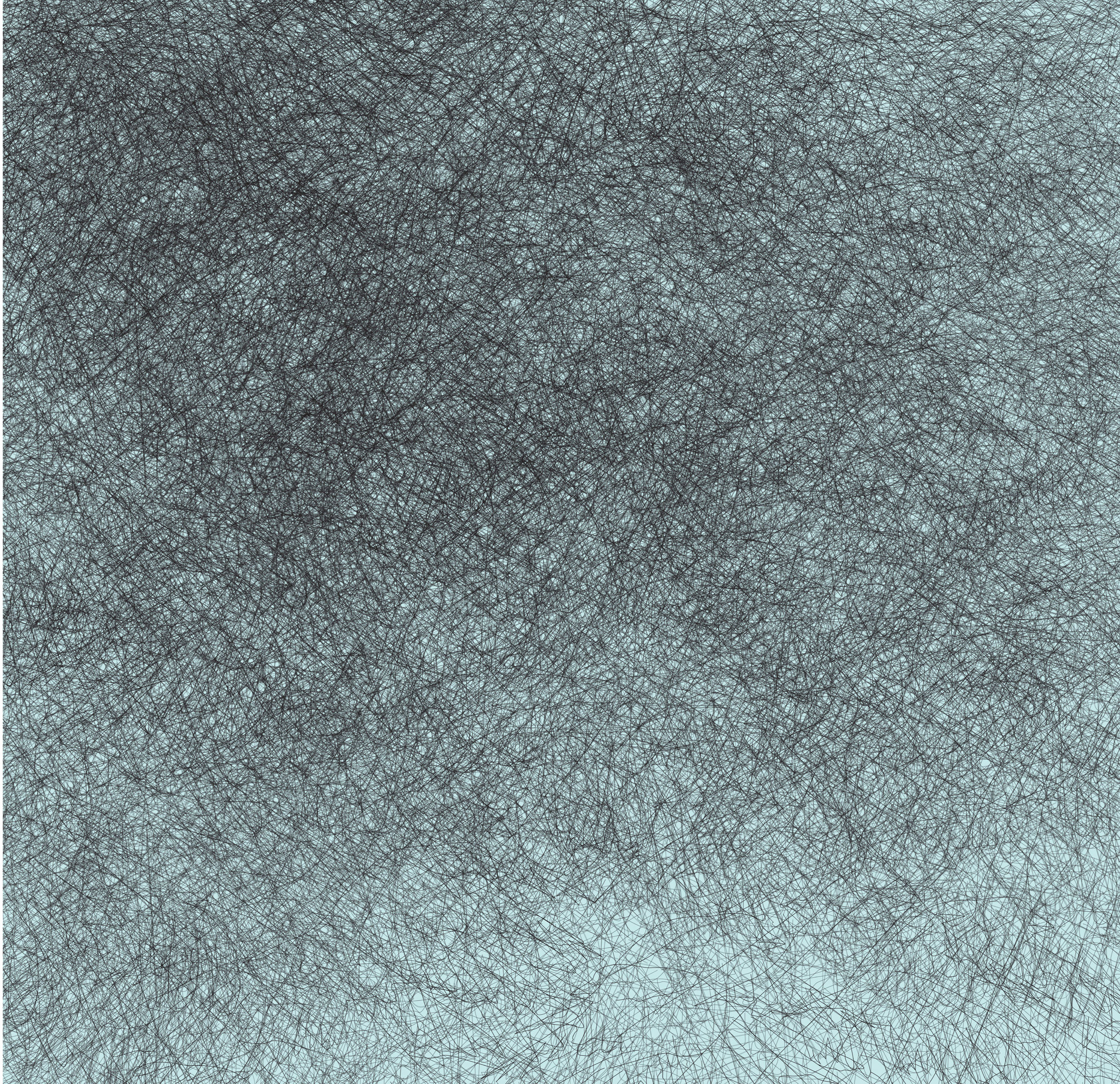 bird drawing 2.jpg