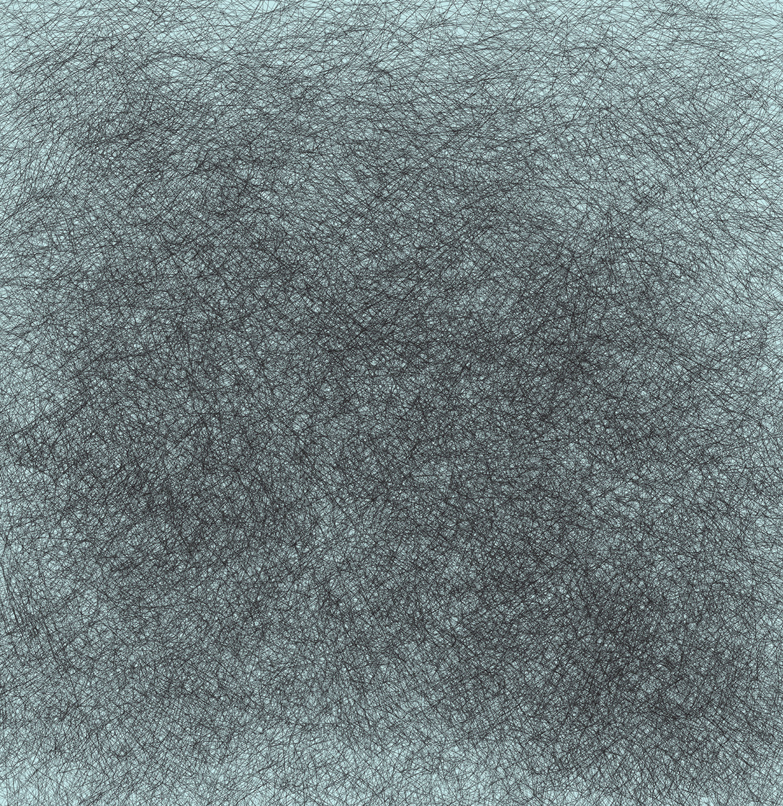 bird drawing 3.jpg