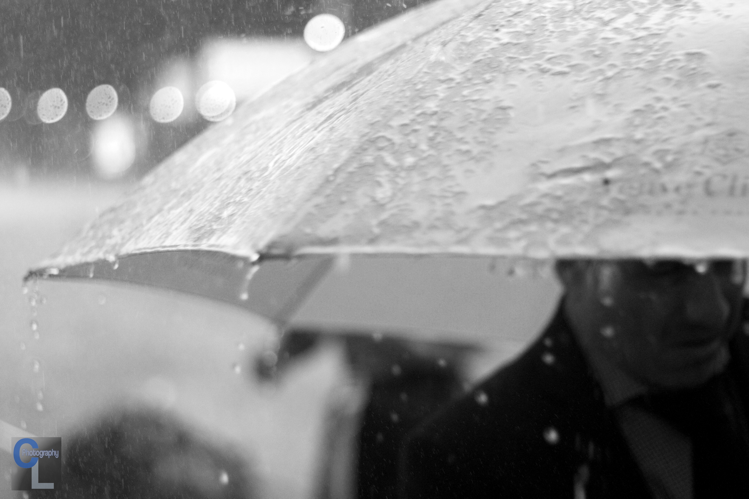 IMG_1484 rainy days bw clp.JPG