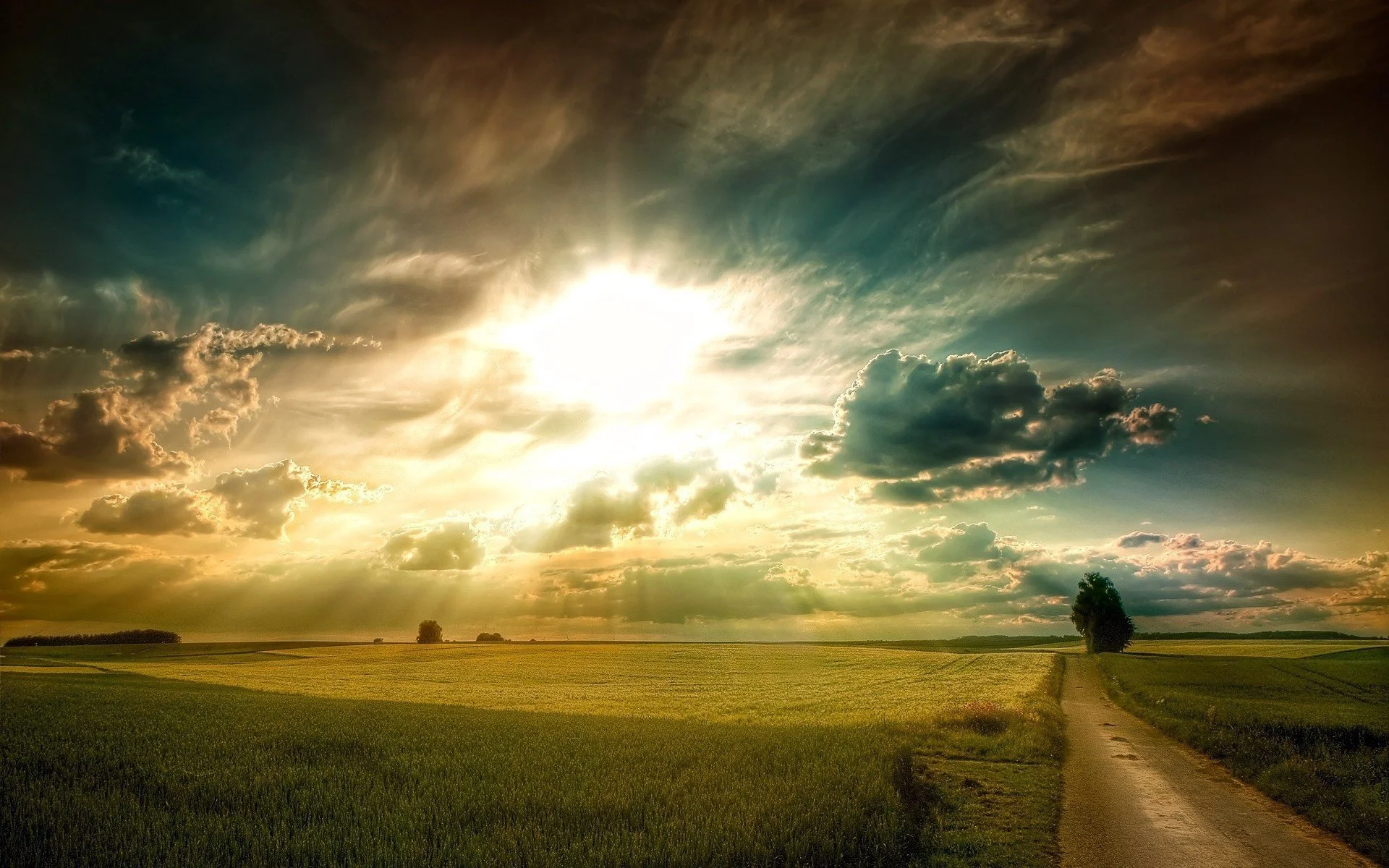 plain-of-the-field-grass-road-tree-sky-clouds-sun-rays-light-dawn-sunset (1).jpg