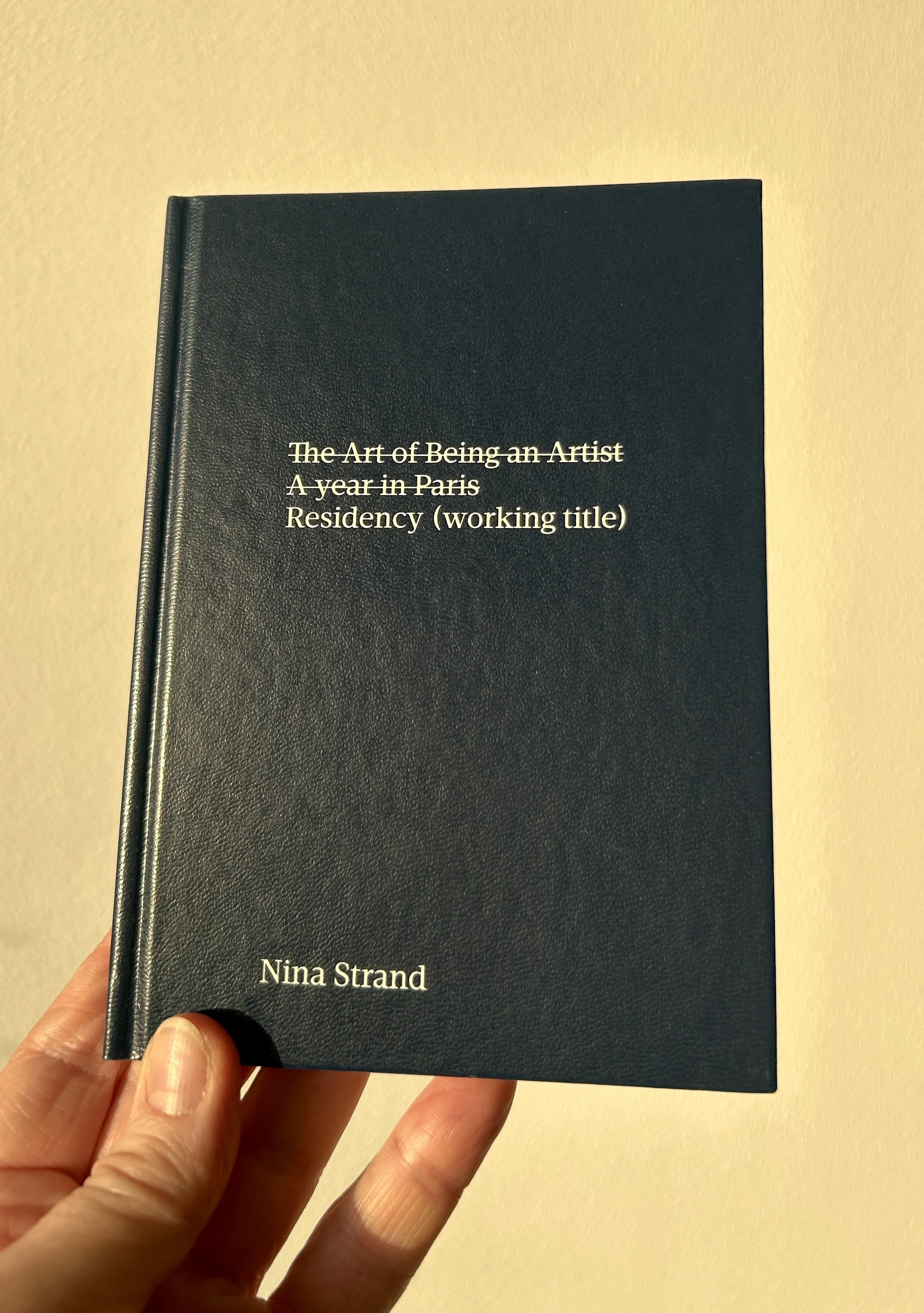 Residency (working title)