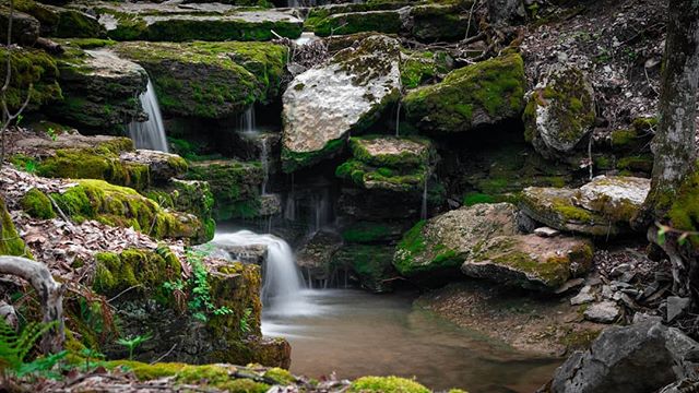 A quick trip to Chittenango Falls #photography #landscape #nikond850 #creek #stream #nature