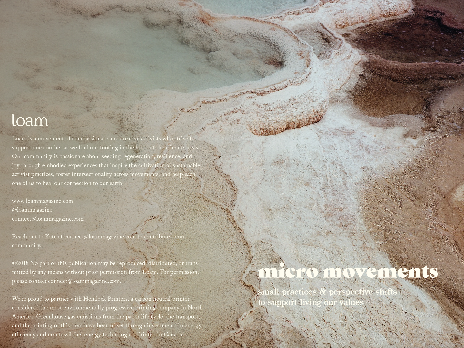 MICRO MOVEMENTS.png
