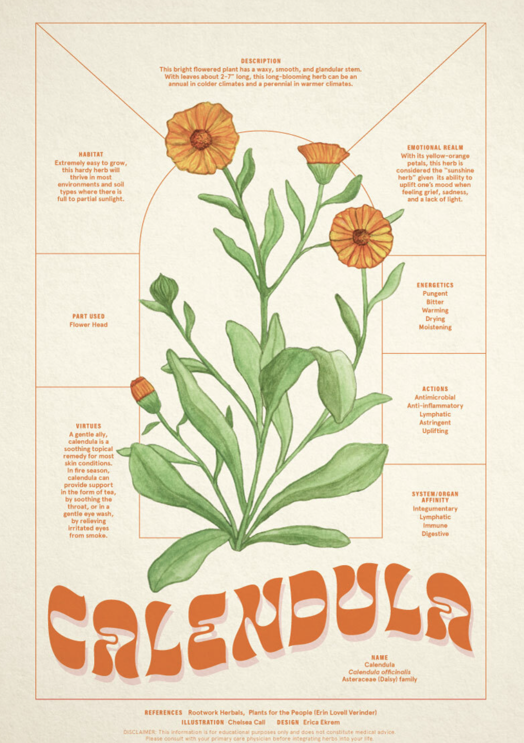 Tonics for Transformation