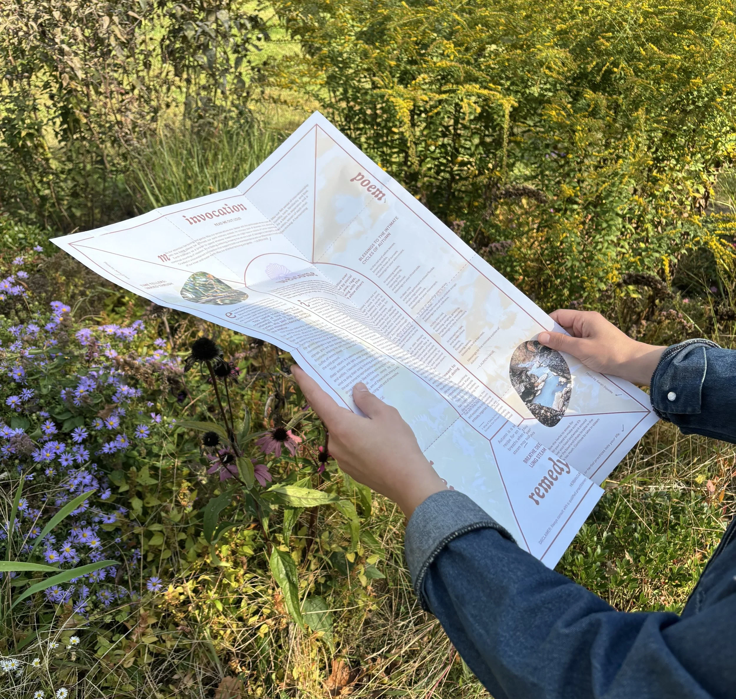 Print Newsletter 6 Month Subscription (Spring to Fall)