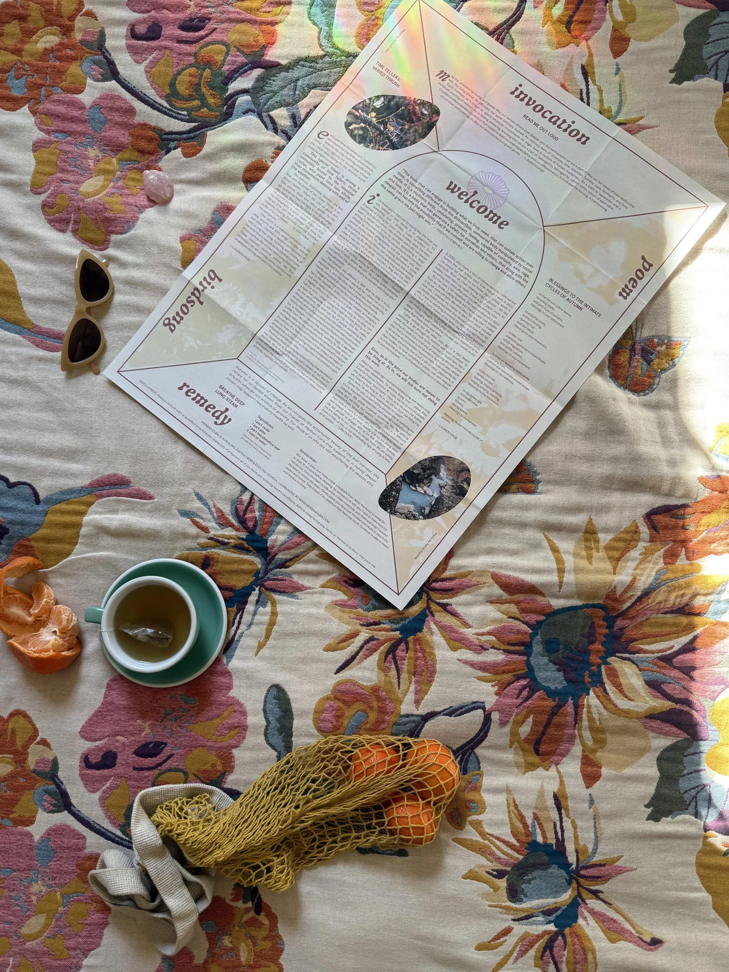 Print Newsletter 6 Month Subscription (Spring to Fall)