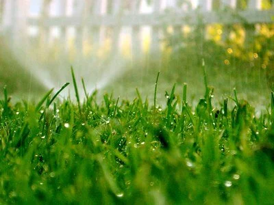 Winter Lawn Maintenance 