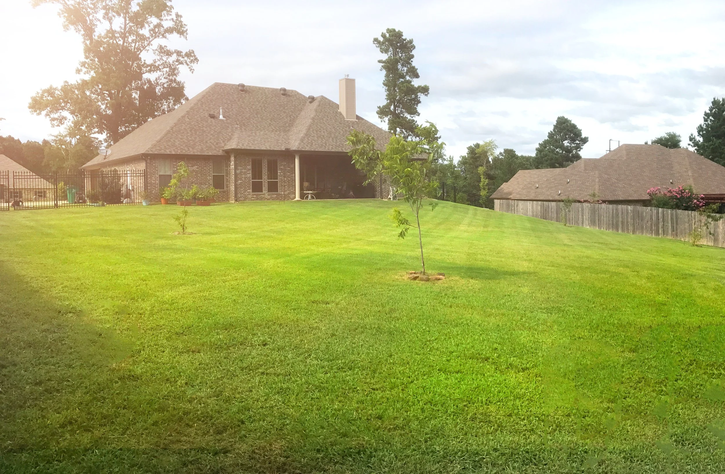 A backyard with a large grassy lawn, small trees, and two houses with brick and shingle roofs, and a wooden fence, under a cloudy sky.