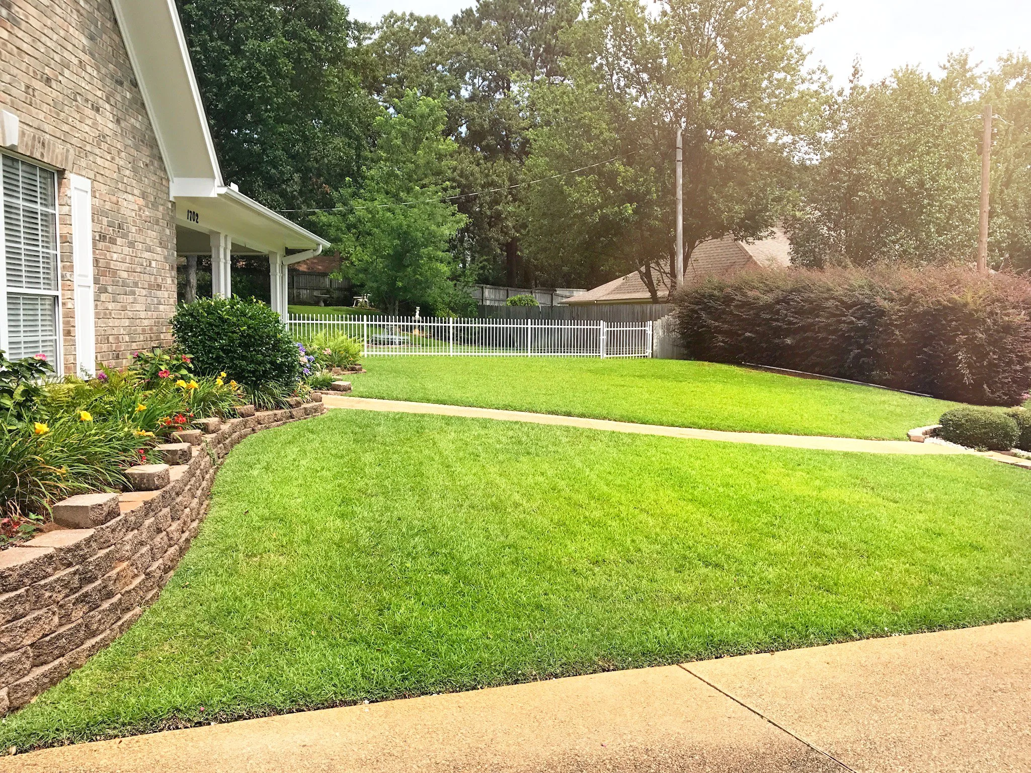 A well-manicured front lawn with green grass, a brick house on the left, flower beds with colorful flowers and bushes, a curved concrete walkway, a white fence in the background, and trees and bushes surrounding the yard.