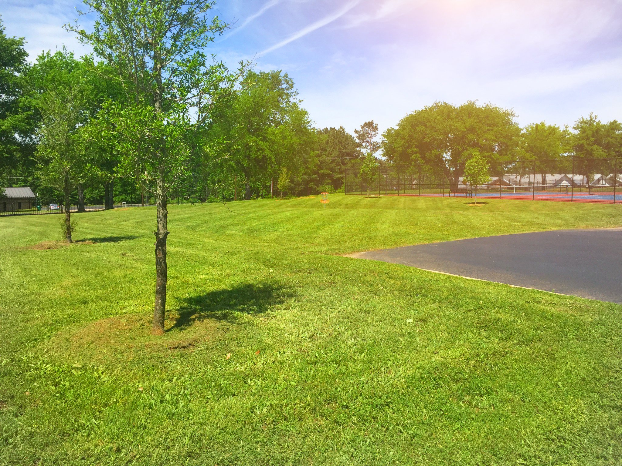 A grassy park area with small trees and a tennis court in the background, surrounded by a black fence and under a blue sky with some clouds.