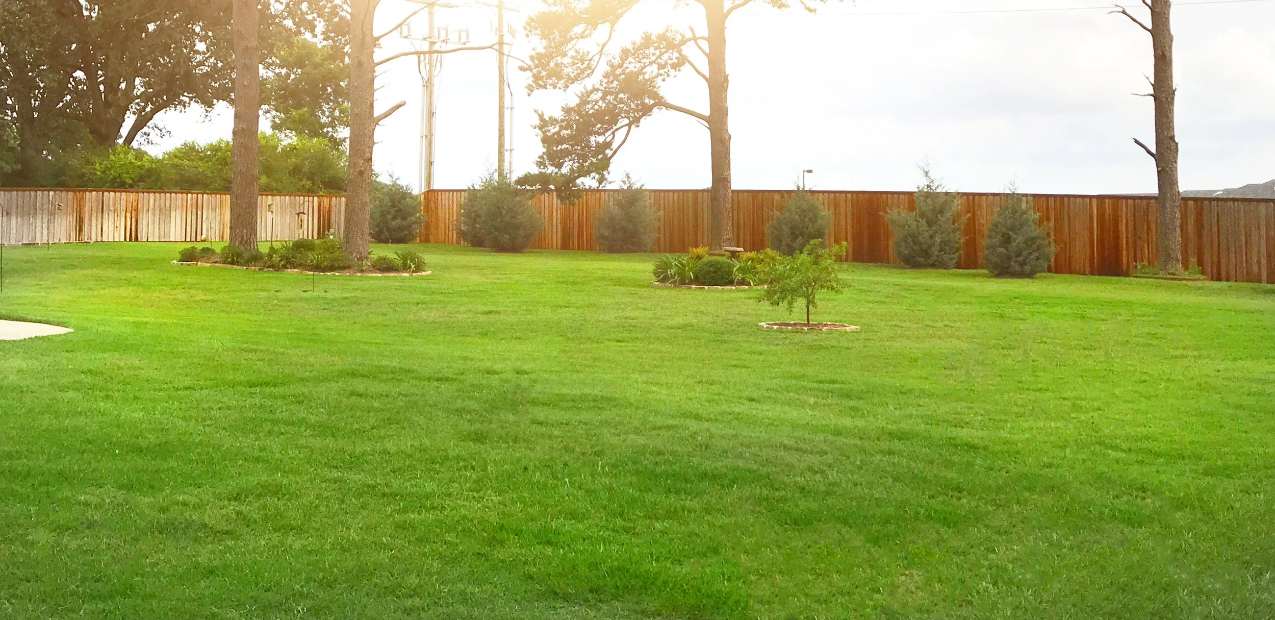 A well-maintained backyard with lush green grass, small trees, and shrubs, enclosed by a wooden fence.