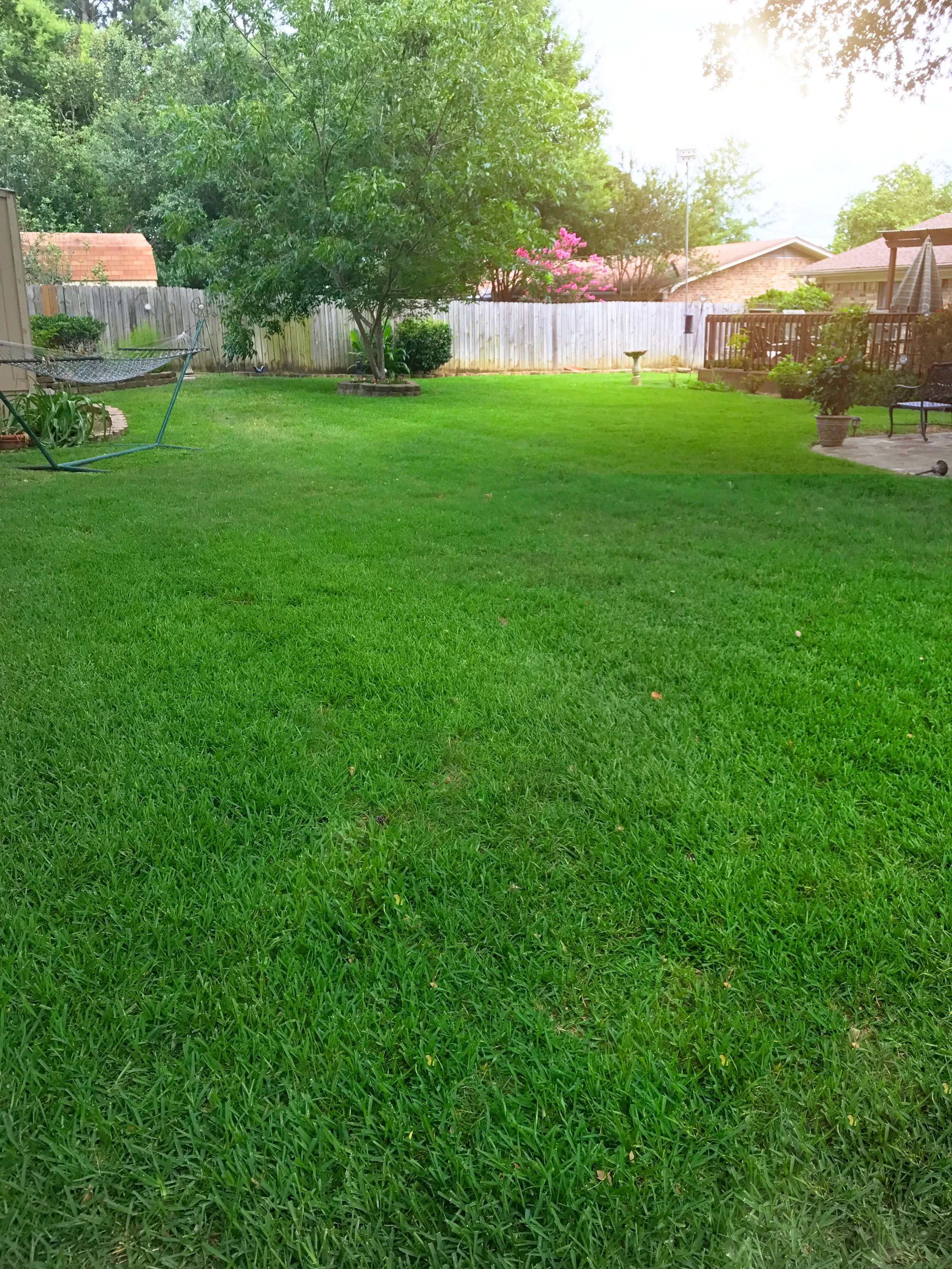 A backyard with green grass, trees, a fence, and patio furniture under a partly cloudy sky.