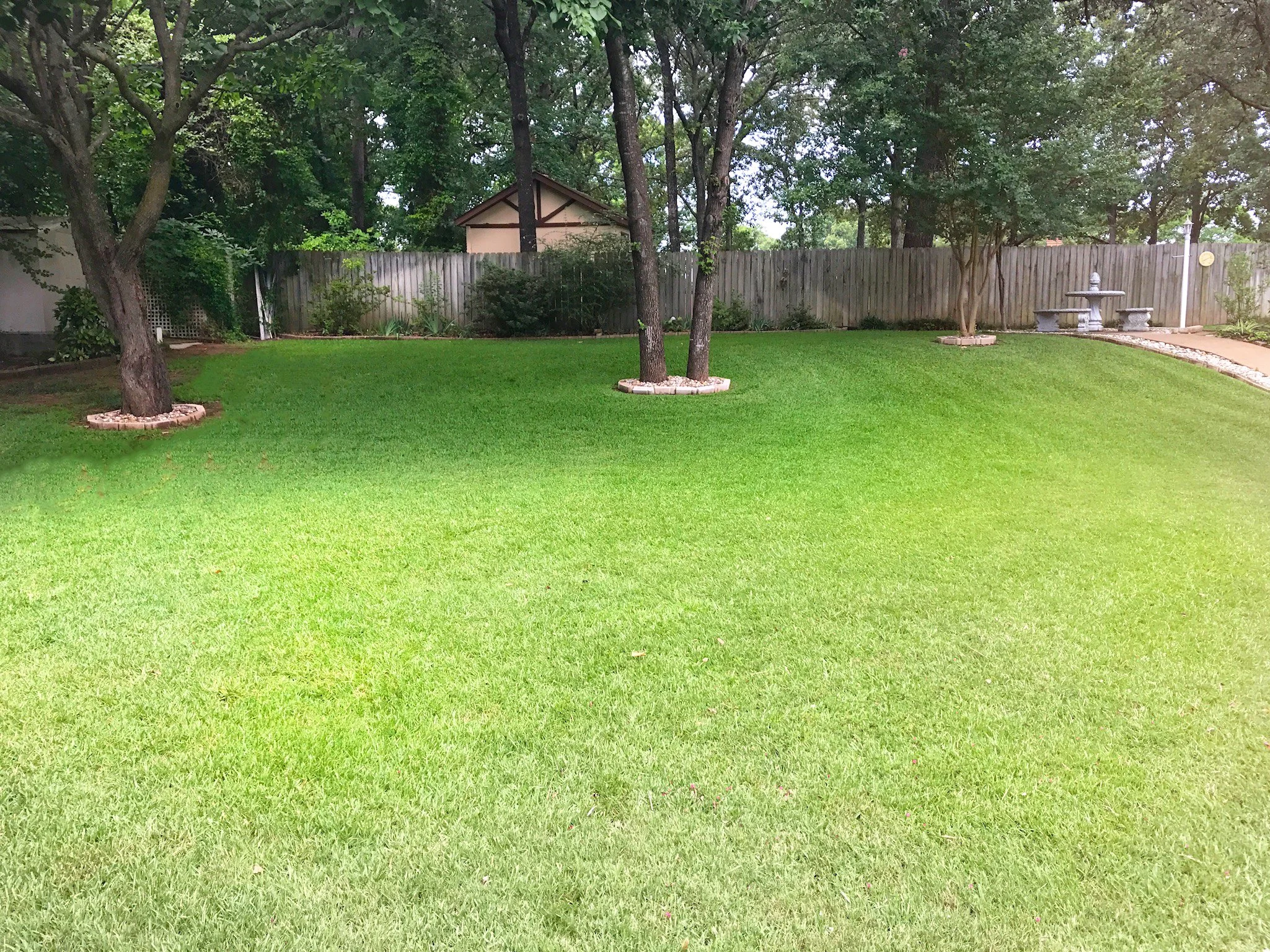 A backyard with green lawn, two trees with circular brick borders, a wooden fence, and a stone fountain with seating.